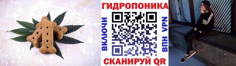 купить закладку  Аша  Печенье с ТГК марихуана 