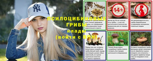 крисы Алексеевка